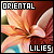  Oriental Lilies: 